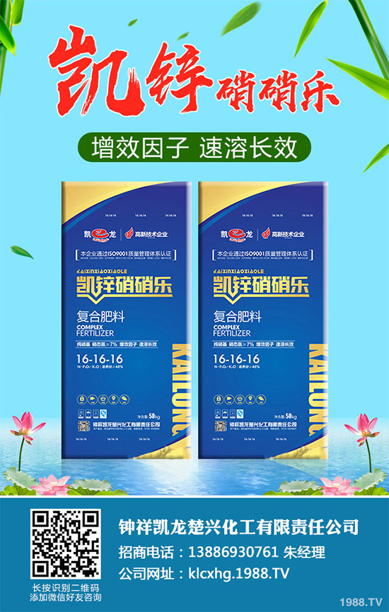 蠶豆該怎么種?蠶豆的種植技術(shù)及病害防治要點(diǎn)