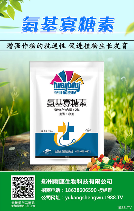 蠶豆該怎么種?蠶豆的種植技術(shù)及病害防治要點(diǎn)