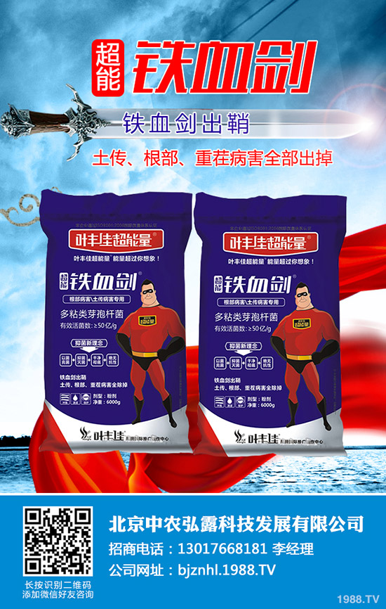     ���ҷ��Ѱ׷�ʭ��Σ�������ҷ��Ѱ׷�ʭ���ӷ�����