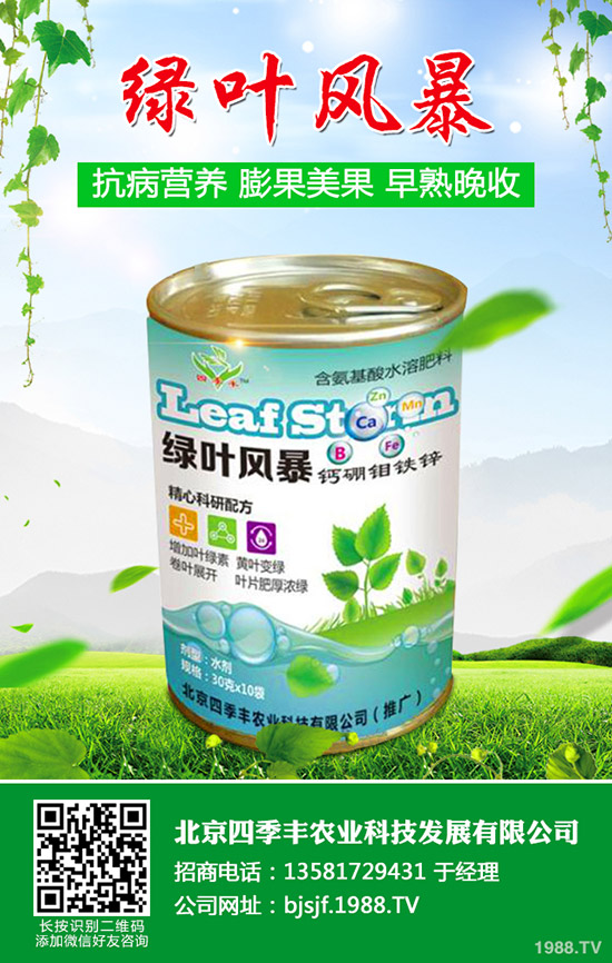 �����׷۲�����y�����������׷۲��l(f��)��ԭ�򼰷��Σ�