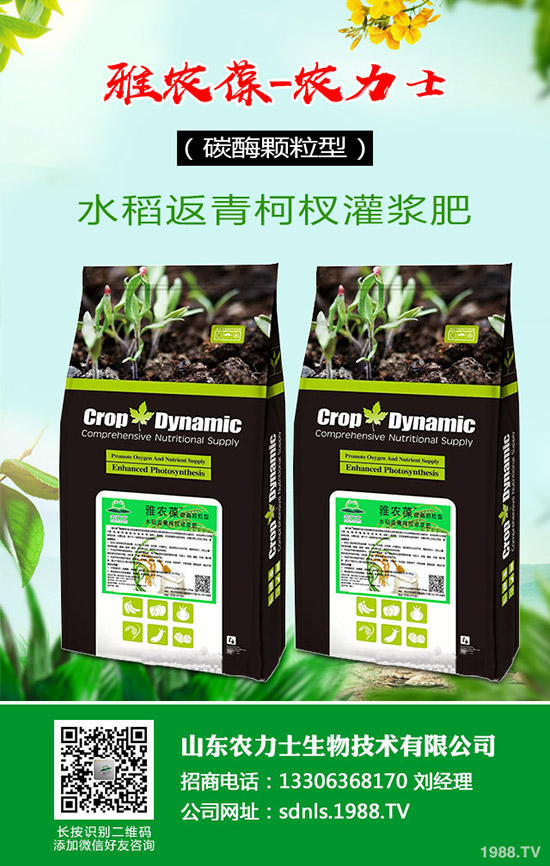     ԭ�Ϻͳɱ����m(x��)�ϝq����(f��)�Ϸ�؛�o�r(ji��)�P(y��ng)�����������߄�(sh��)����2020-3-17��