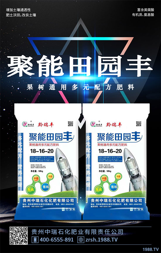     雷丸又稱竹鈴芝、雷實(shí)、竹苓、竹兜菌，是一種常用的藥用菌，與茯苓、豬苓并列為“三苓”。具有殺蟲消積的功效，常用于絳蟲、鉤蟲、蛔蟲、蟲積、小兒疳積等病癥?，F(xiàn)今市場(chǎng)雷丸供藥多以野生為主，而人工目前少有栽培；雷丸種植對(duì)環(huán)境要求比較苛刻，喜溫暖氣候地區(qū)，以林中潮濕潤地為宜，但田間管理簡易，只需注意溫度和干旱就行。那么，雷丸該怎么種？雷丸的種植方法及田間管理要點(diǎn)有哪些呢？