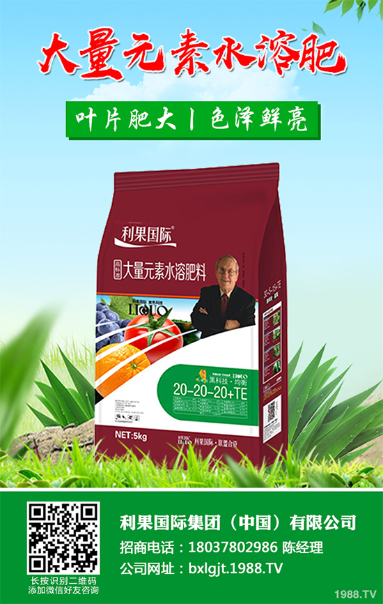 金銀花種植前景如何？2020金銀花的種植前景及效益分析