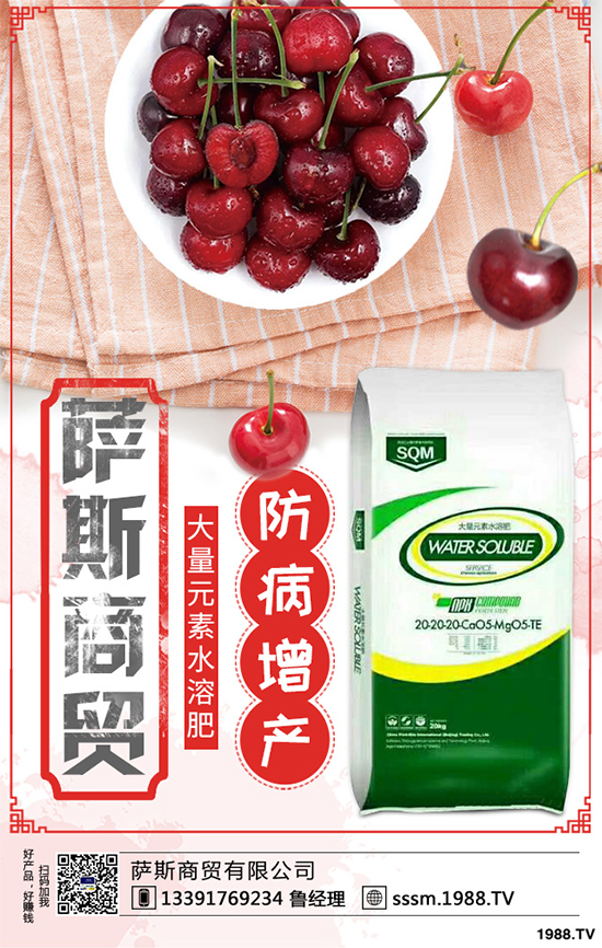 ������ԓ��ηNֲ���紺���׸߮a(ch��n)�Nֲ���g(sh��)Ҫ�c(di��n)