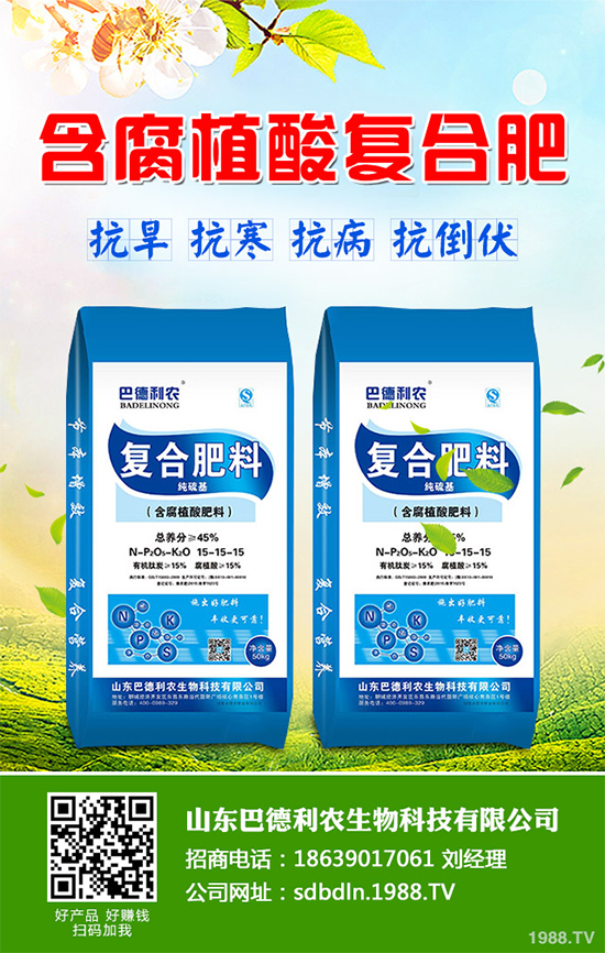 你知道春花生什么時候播種嗎？2020年春花生種植方法講解