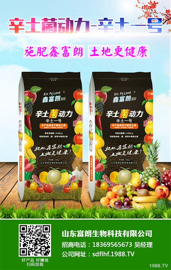 你知道春花生什么時候播種嗎？2020年春花生種植方法講解