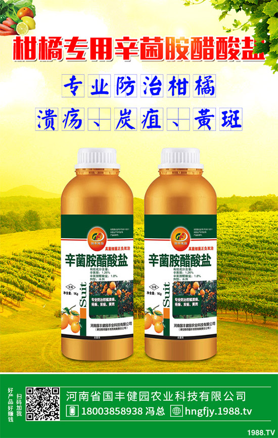 ��ɭ(li��n)�������r(ji��)��