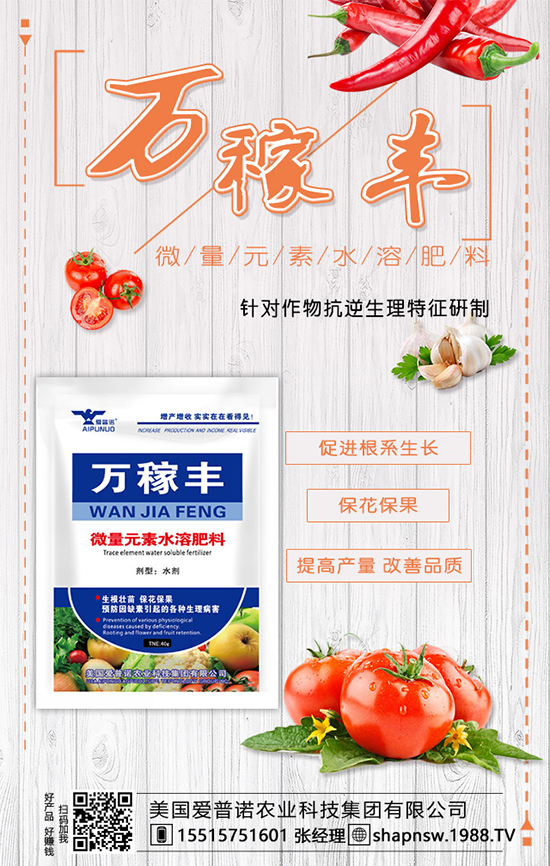 茶葉是什么時候種植的?茶葉的市場前景及種植效益!