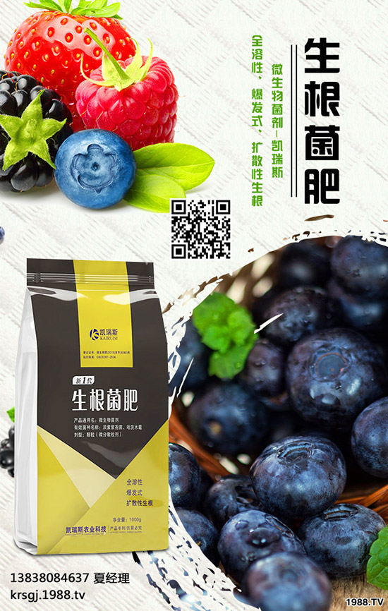 長壽花盆栽施肥要注意哪些問題,長壽花盆栽施肥要點(diǎn)!