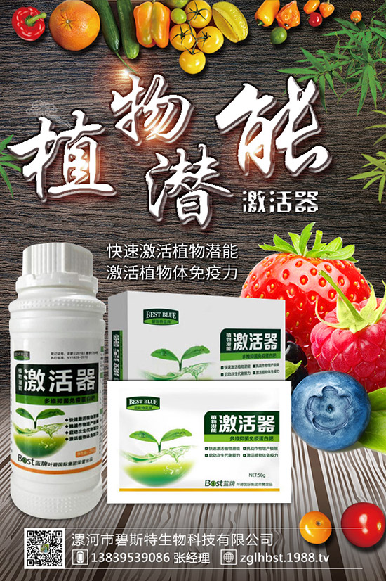 ������ô�N�ɻ��ʸ�������ʲô�r��Nֲ������