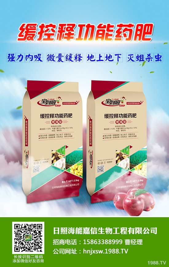 ������������Nֲ�������g(sh��)