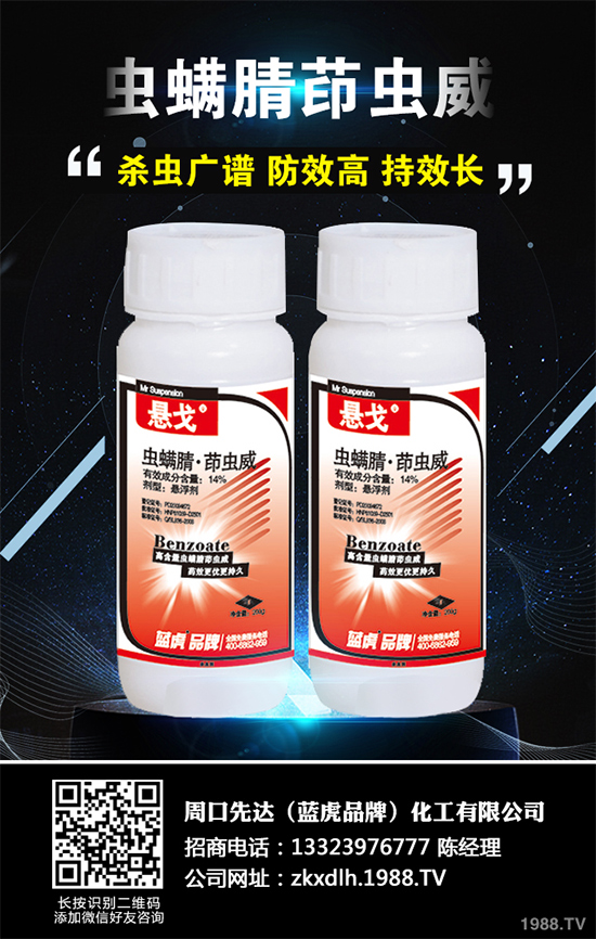 �{(di��o)�Ј�(b��o)�棺��������������Ј�����ǰ���Д�