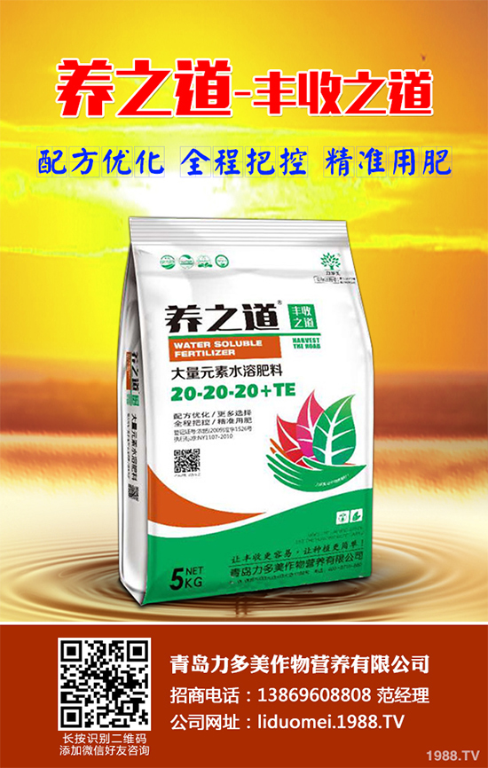 ���{��ԓ��ηNֲ�����{���߮a(ch��n)�Nֲ���gҪ�c