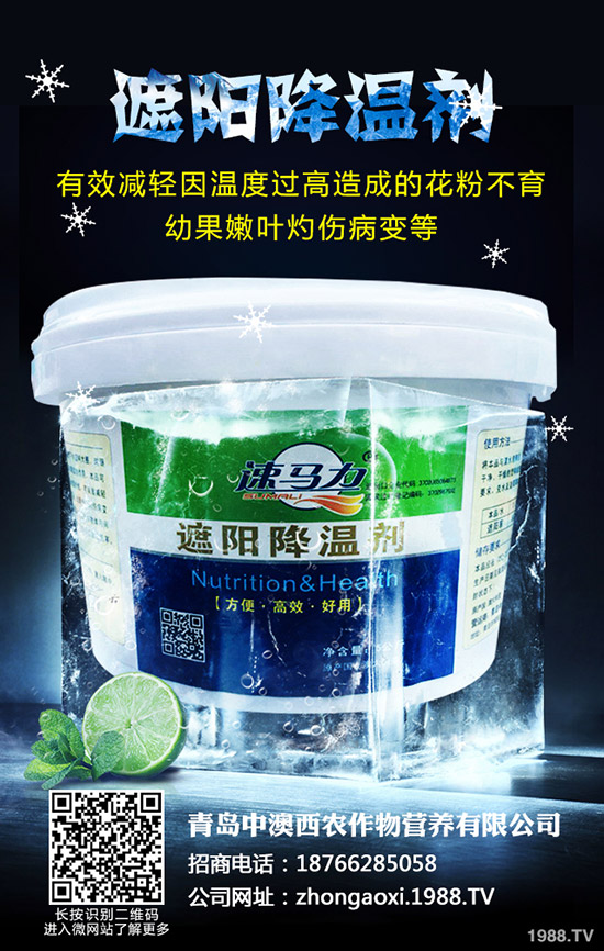 ��Ʒ�|(zh��)��Ҭ����ôʩ�����������@���c��