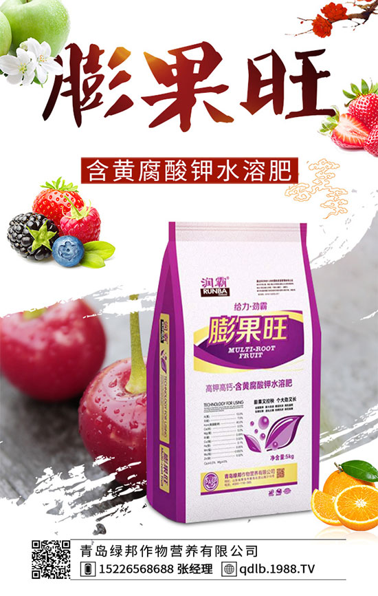 四季豆落花落莢是什么原因?四季豆落花落莢預(yù)防措施!