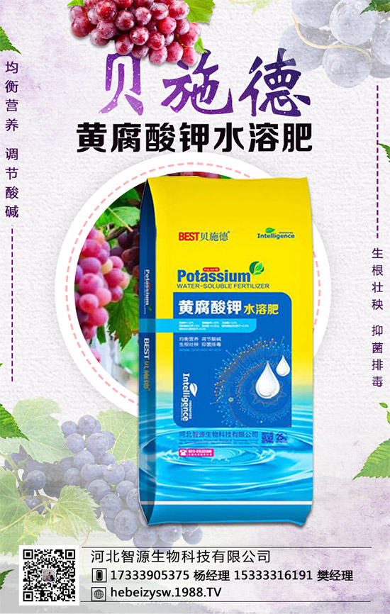 �۲˵ĠI�B(y��ng)�rֵ����Щ�������۲���ʲô��̎��