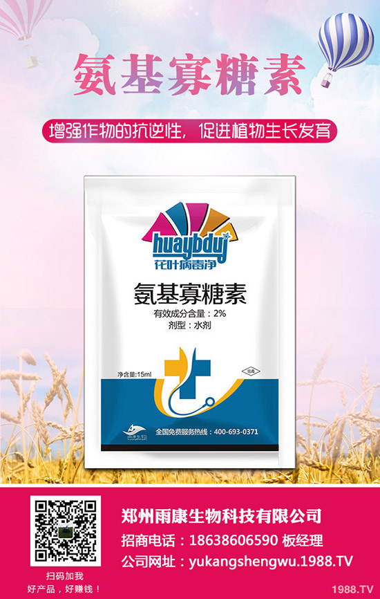 ���Ѱl(f��)���ʺ���ô�k�����ѷʺ���ô���ٻ֏ͣ�