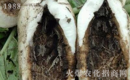 �}���ڸ����İY����}���ڸ����ķ�����