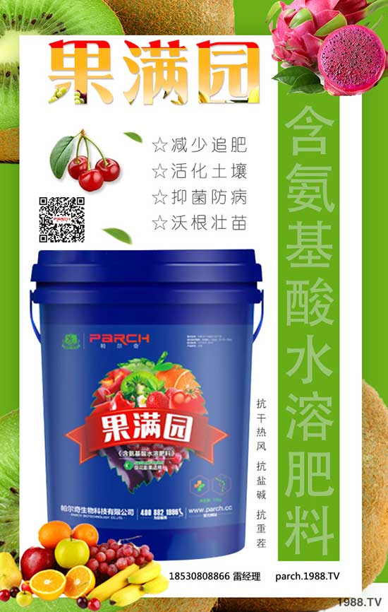 帕爾奇國(guó)際集團(tuán)