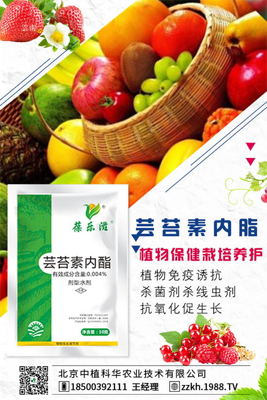 ���Ҫ��ô�Nֲ�����ˮ�ʹ���Ҫ�c(di��n)��