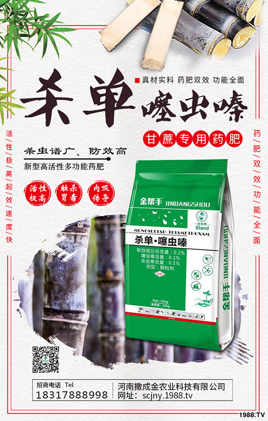 芹菜得了菌核病怎么辦？棚栽芹菜菌核病如何防治？
