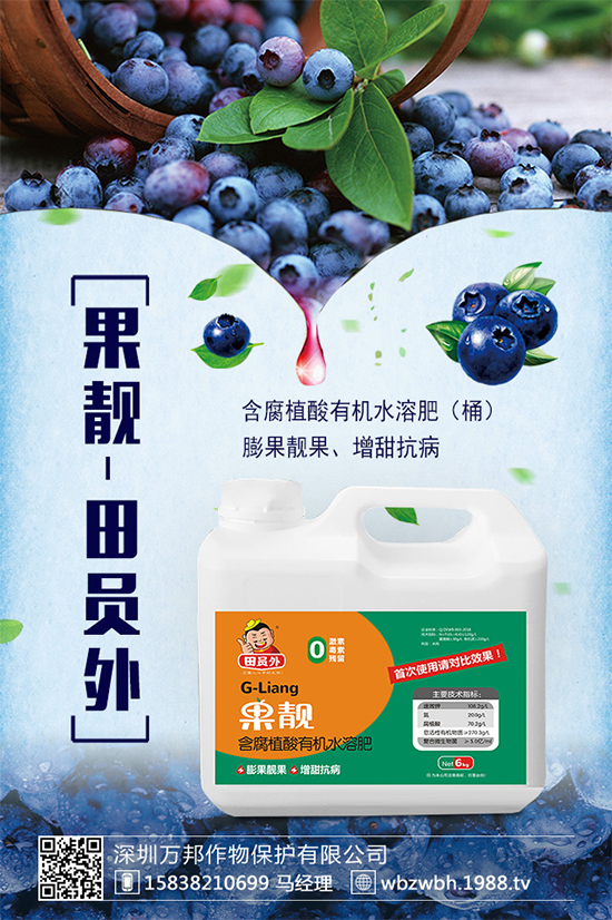 太子參的市場前景如何?2020太子參種植的效益分析