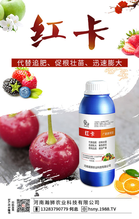 �����������ι�����������������Լ��g(sh��)Ҫ�c