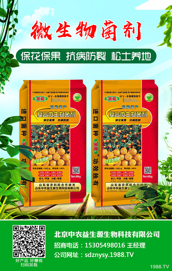     ���ڶ��@�S������(w��n)�\�У�2020-4-17�������¶��@�r��������