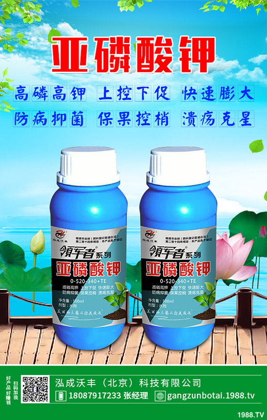 �S�Ϗ�����ʲôԭ�������S�Ϗ��ϸ���Ҫ�E��