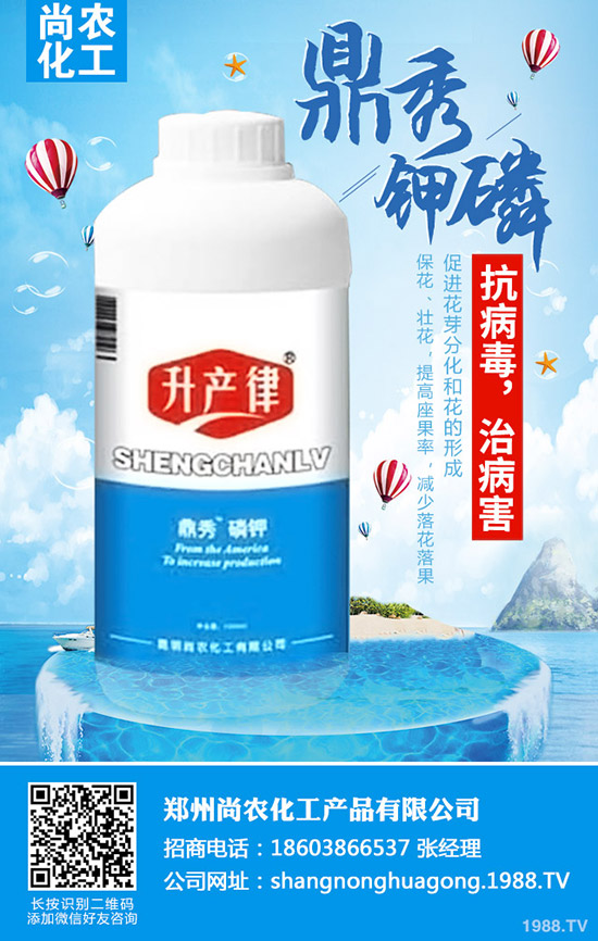     ���{���Y����ô�k�����{���Y��ԭ�򼰷��δ�ʩ��