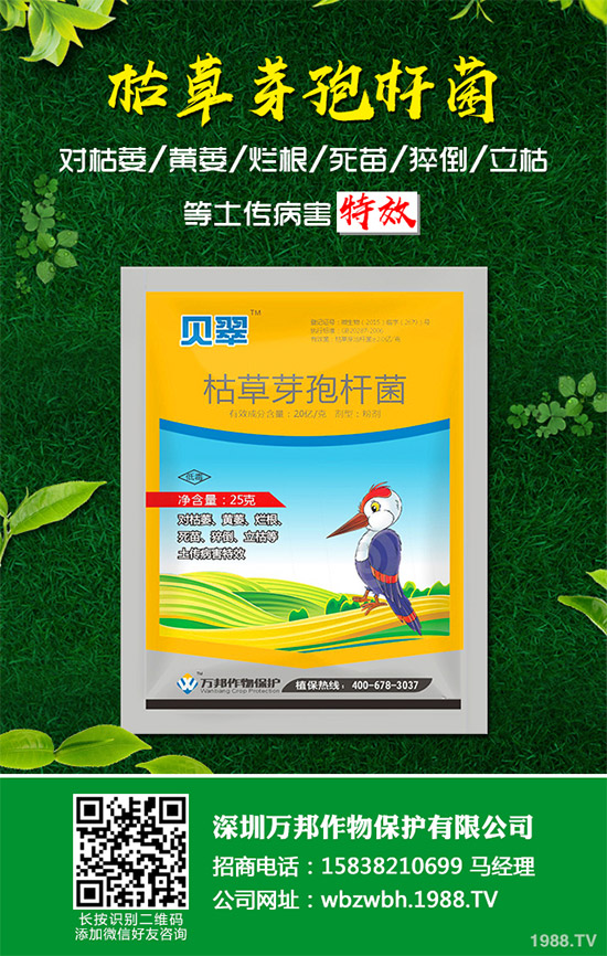 С����ù��ˎ������Ч����������׃����