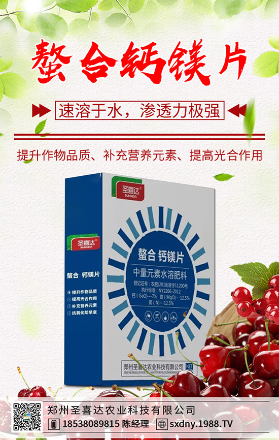 油麥菜該如何育苗?油麥菜的高產(chǎn)栽培管理技術