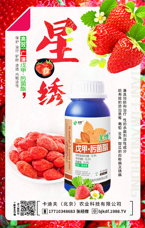 ����Ҫ��Ҫ���������������_��֦�������