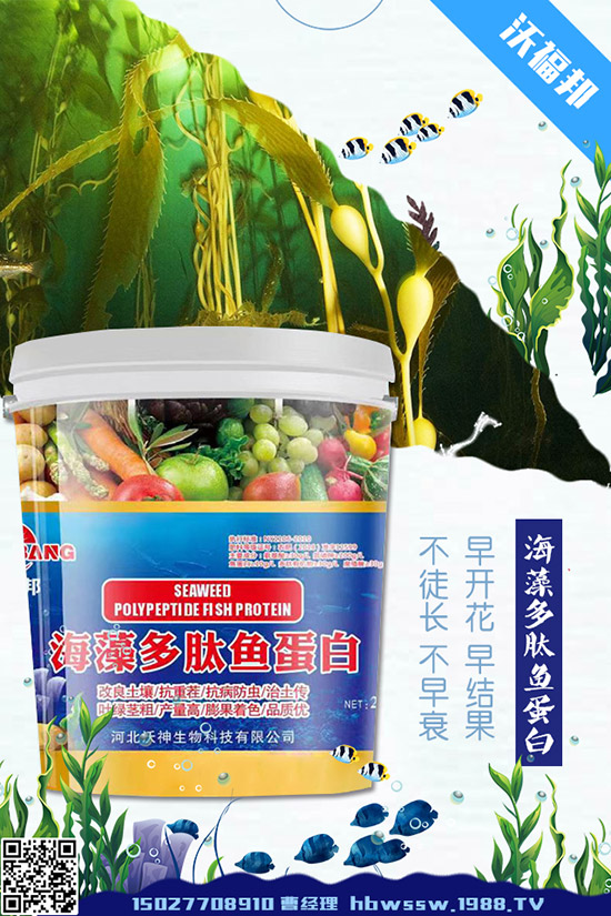     ���ӷNֲ��Ҫע����Щ��(w��n)�}�����ӵ�ˮ�ʹ���Ҫ�c(di��n)��