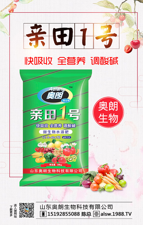  蘆筍種子處理及育苗技術，蘆筍定植后要如何管理？