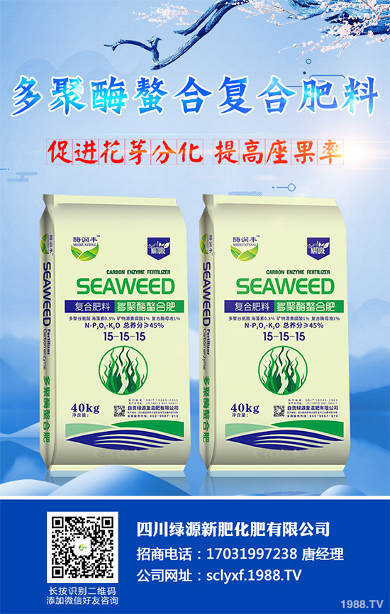 向日葵什么時候播種?該如何管理?高產(chǎn)向日葵高產(chǎn)種植管理技術(shù)