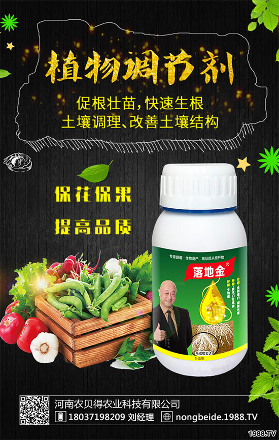 小香芹有哪些食用價值？小香芹的形態(tài)特征！