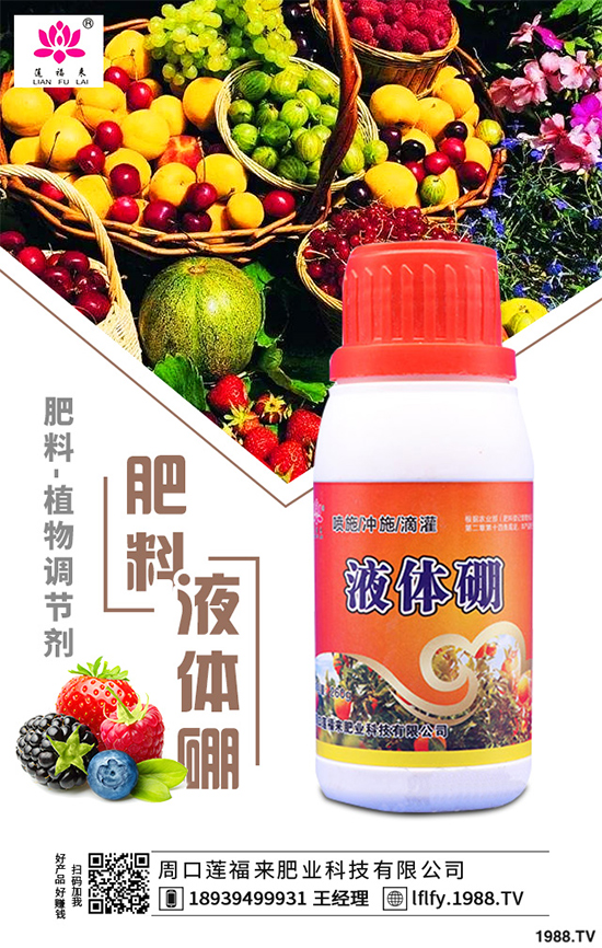 皂莢樹(shù)有哪些用途？該如何栽培？皂莢樹(shù)的栽培管理技術(shù)