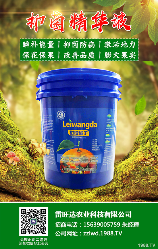 �~�Ȳ��Ј��r������Xһ����2020���~�ȲݵķNֲЧ�����