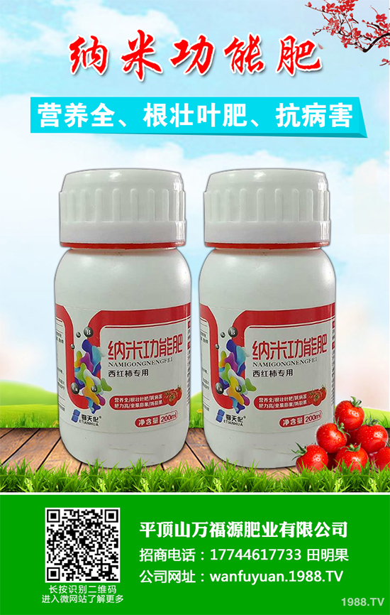 水蜜桃該如何種植？五步教你輕松種出肉厚多汁水蜜桃！