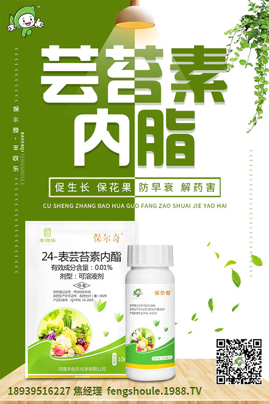 �������ô�޽�����ϼ޽Ӹ߮a(ch��n)�Nֲ���g(sh��)��