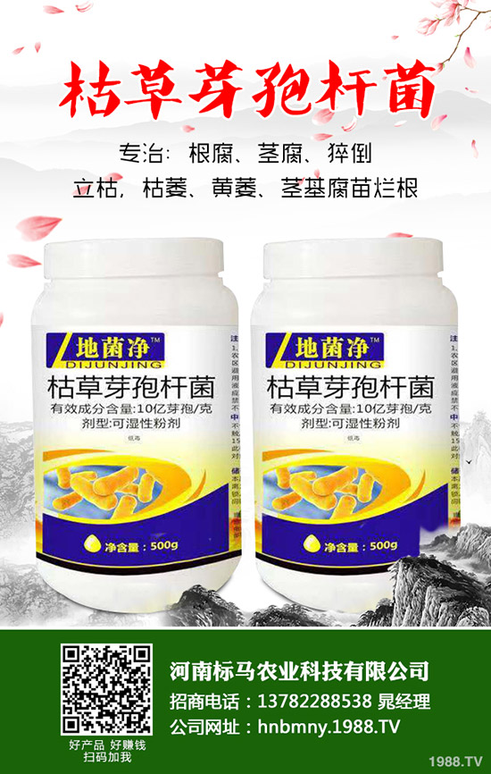 �����ôʩ�ʣ����ʩ��Ҫ�c(di��n)����Щ��