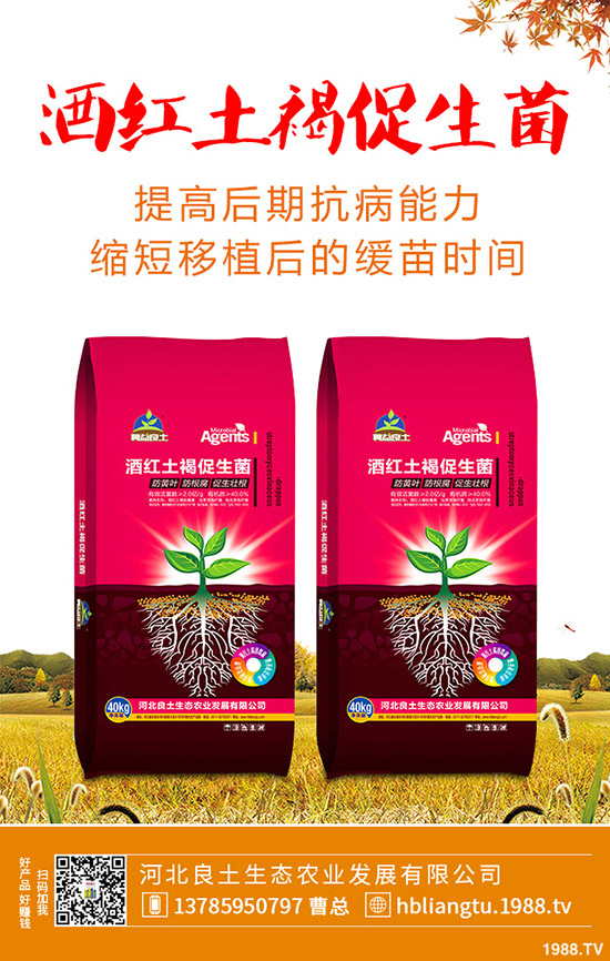 �{��ʲô�r��Nֲ�^�����{�˵ķNֲ���g�c���g����