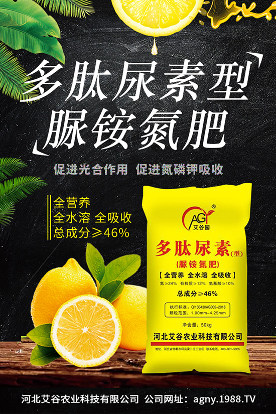 �ļ����NֲҪ�c���ļ������缼�g(sh��)�����ڹ���