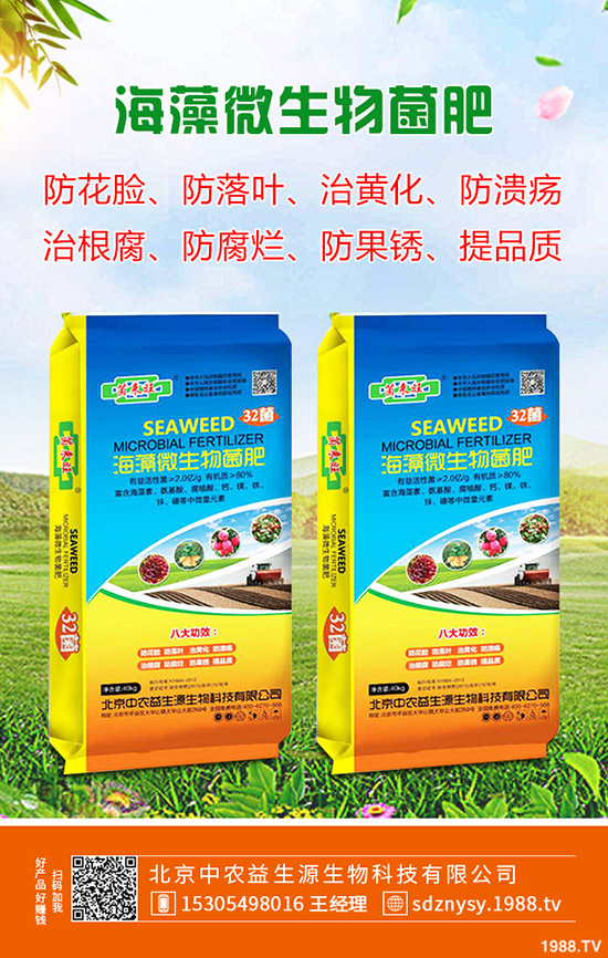 ��ľ������ע�����(xi��ng)����Щ����ľ�����N�xُע������Щ��