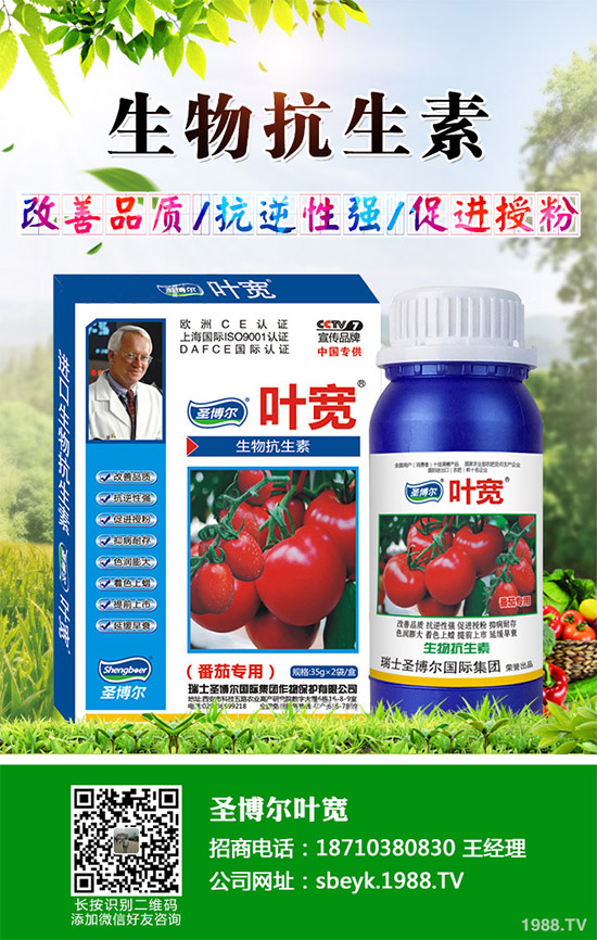 ���ﱡƤ���ԓ�����������Ƥ��ϸ߮a(ch��n)���༼�g(sh��)