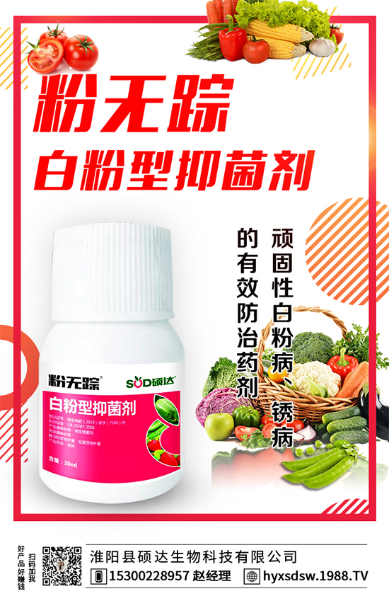 ������ô�Nֲ�������Nֲ���g(sh��)Ҫ�c��