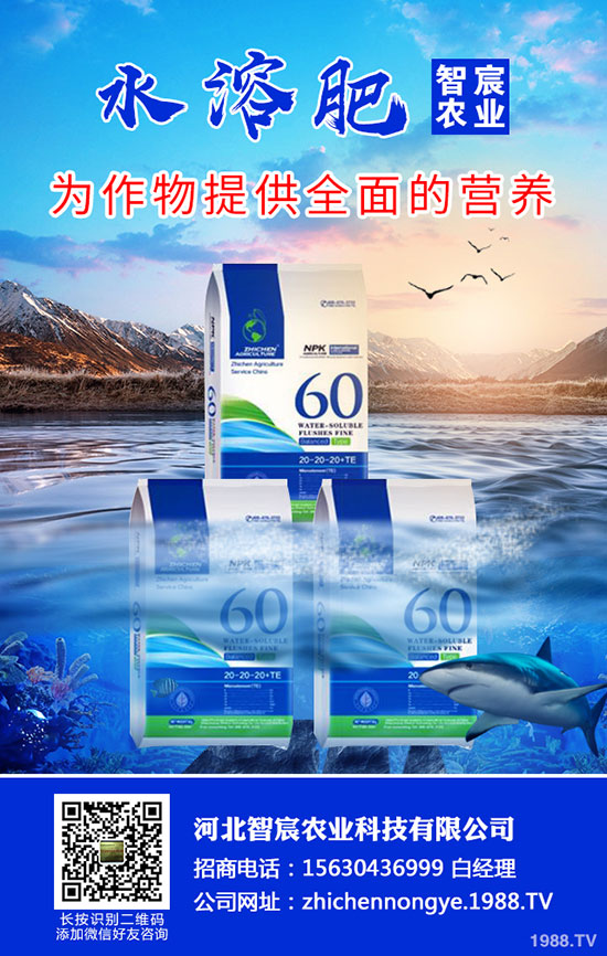 2020尿素價格要上漲！最新尿素行情走勢分析！