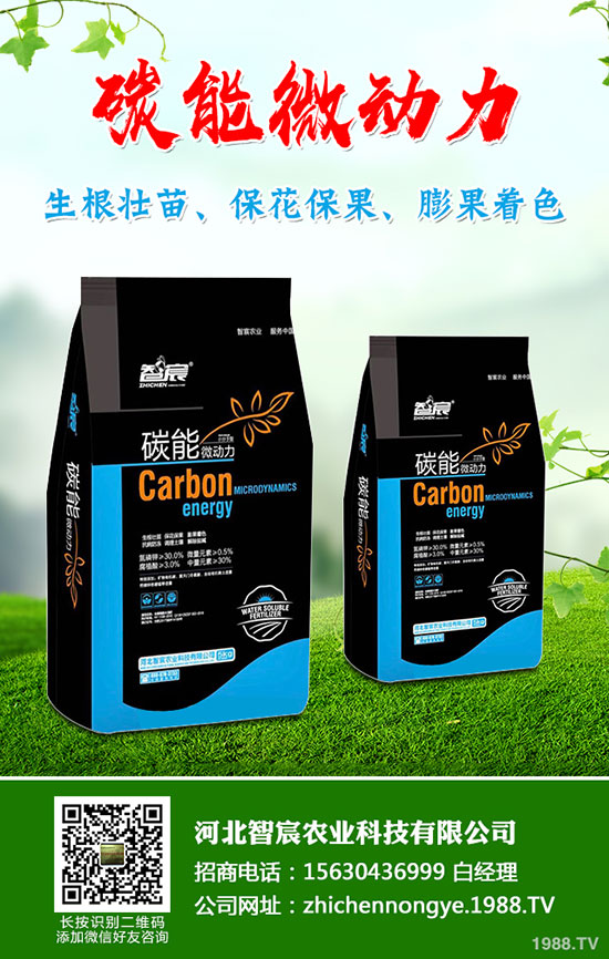 5月國內(nèi)磷肥市場何去何從？最新一銨二銨價格行情走勢預(yù)測！