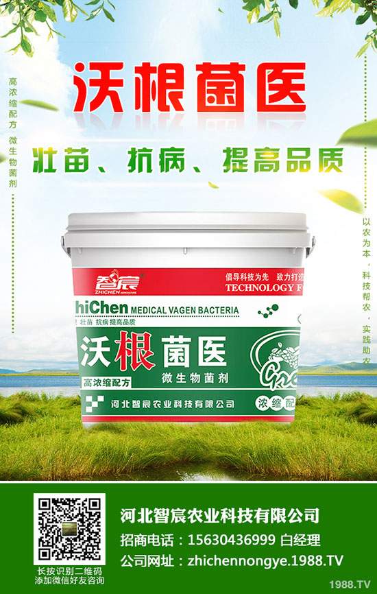 鉀肥價格整體偏低運行！最新鉀肥行情分析2020-5-15！